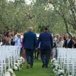 samesexwedding_marrylu